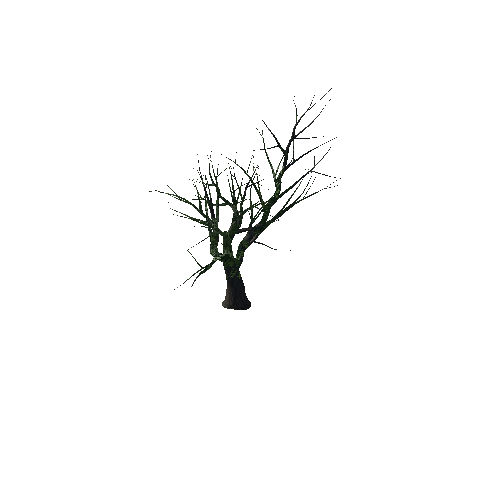 Tree 7_1